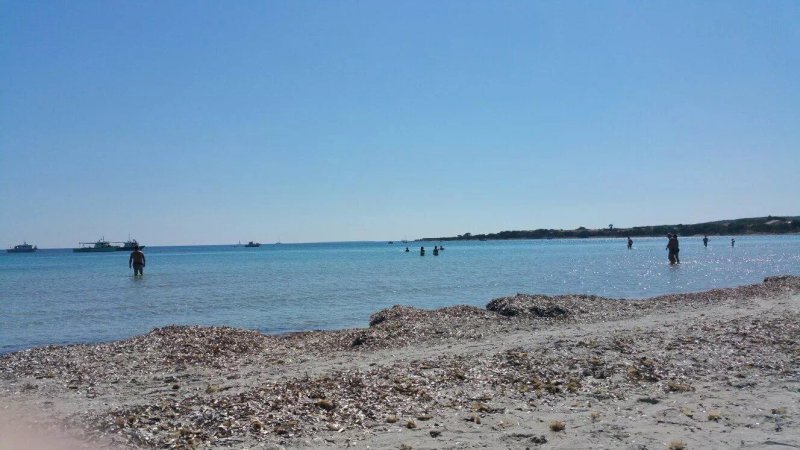 La Tana Delle Lepri