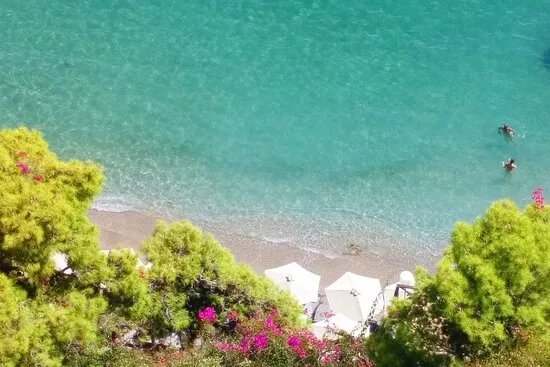 Dolphin Hellas Greek travel agency