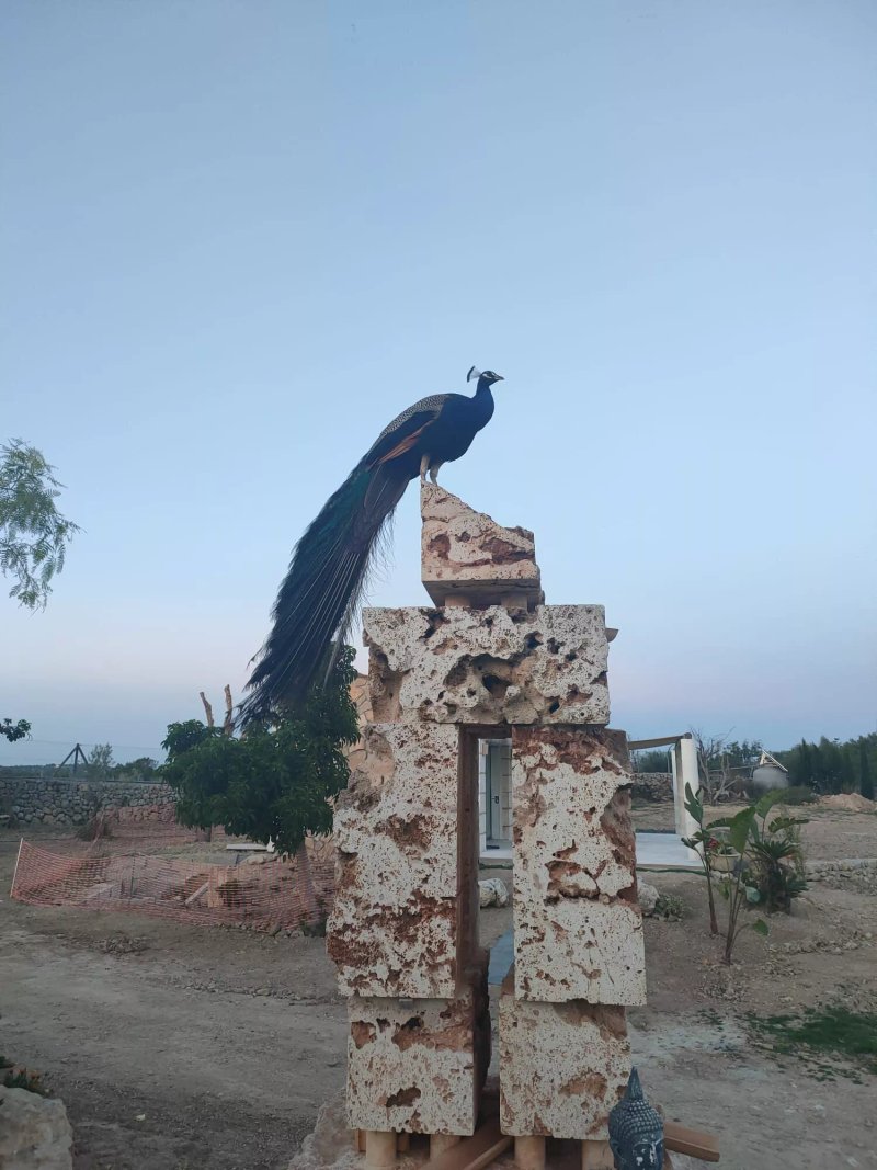 ES Raco de Maria