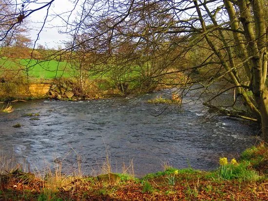 Dairsie Bridge