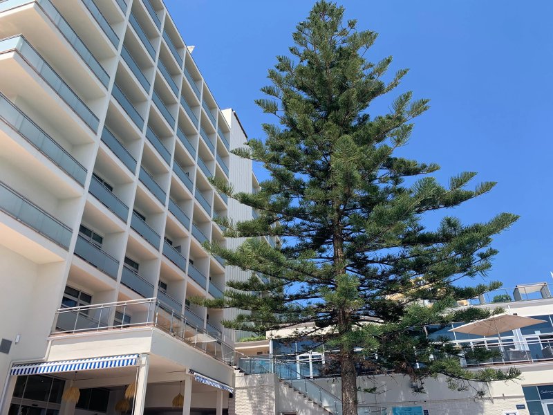 Tui Blue Riviera