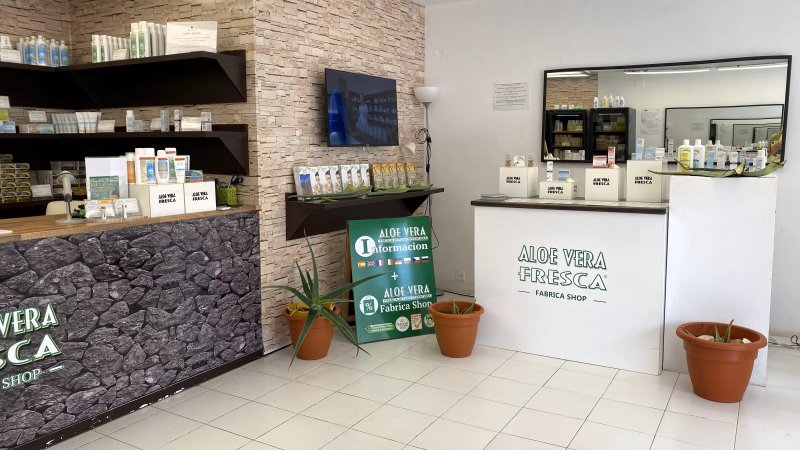 Aloe Vera Fresca di Fuerteventura