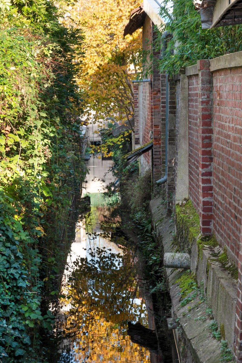 Le Ruisseau Picard