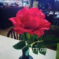 Through The Looking Glass Gifts & Tea Rooms