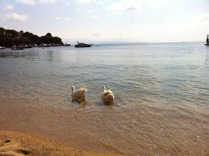 Kolios Beach Seaview Studios