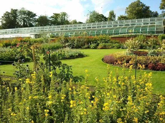 Pittencrieff Park