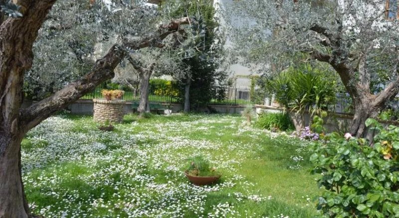 B&B Casa Amabili