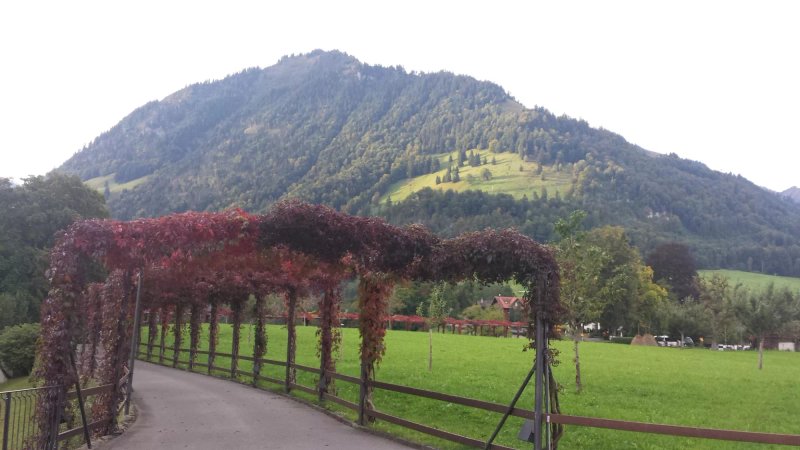 Gasthaus und Chalet Paxmontana