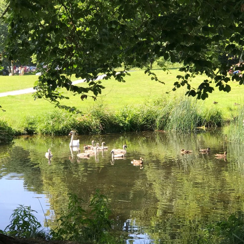 Curraghchase Caravan and Camping Park