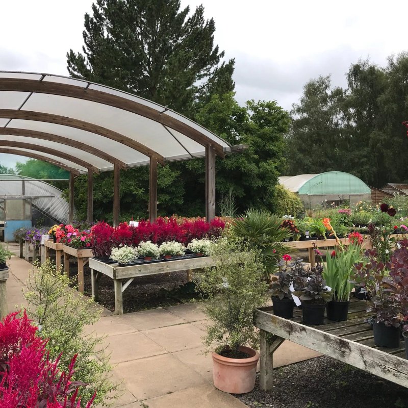 Courtens Garden Centre