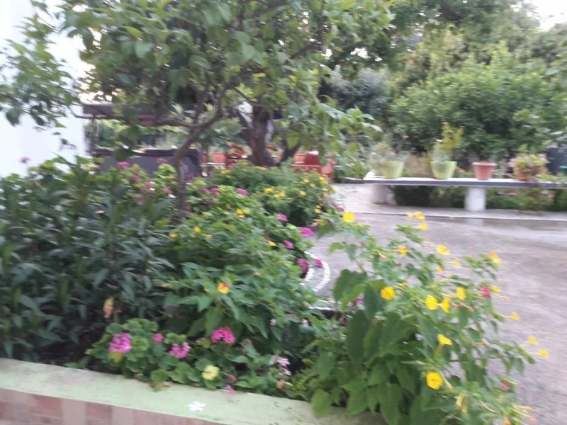 Hotel Dimitra Sun