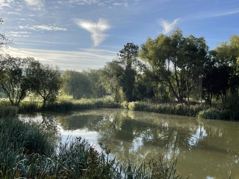 The Vale Golf Club