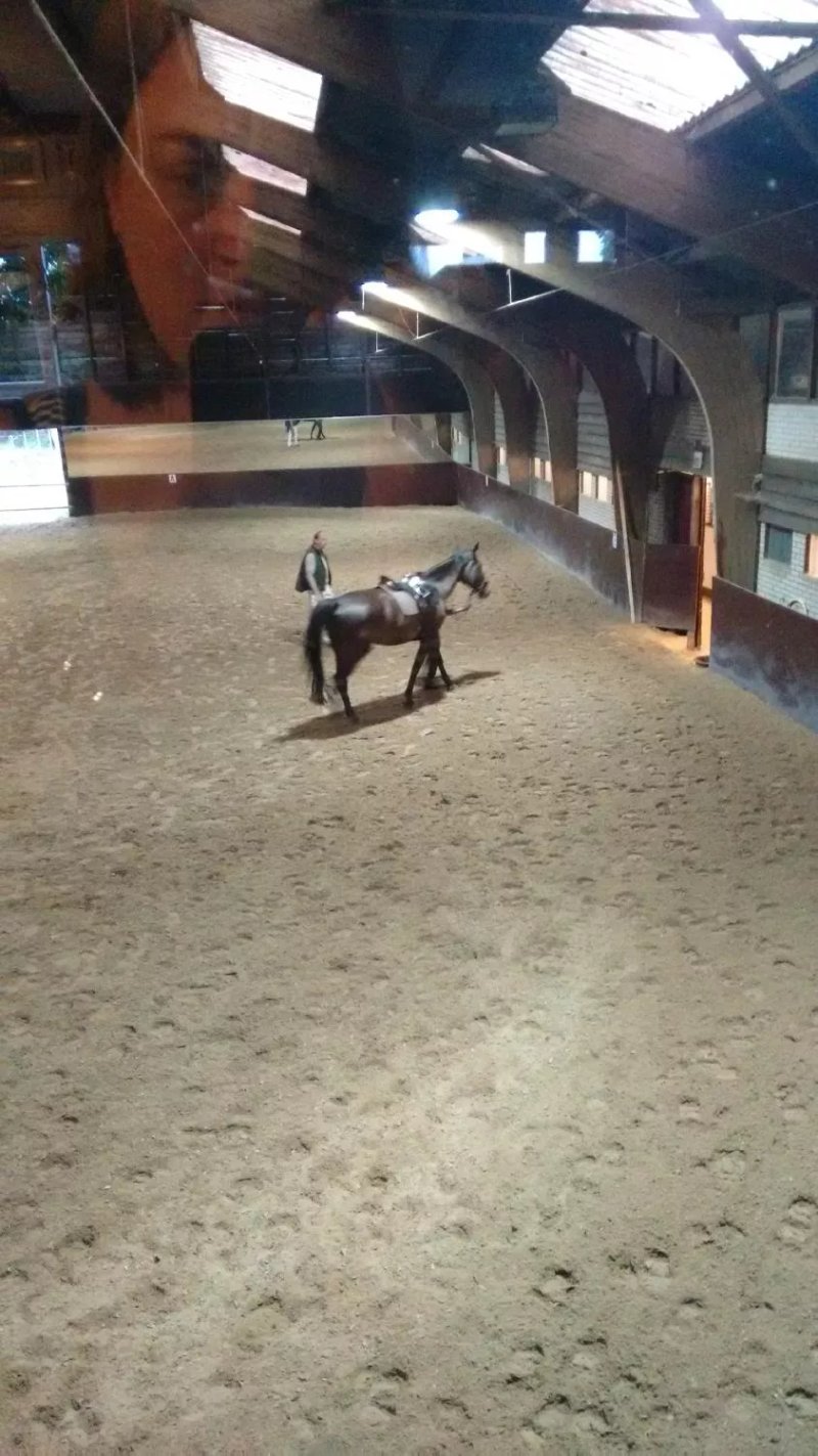 Buitensporthotel Hoenderloo