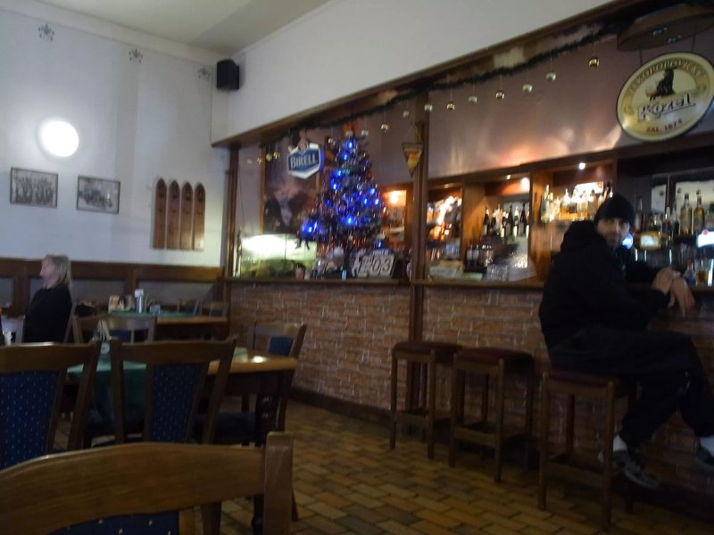 Restaurant U Zlateho Lva