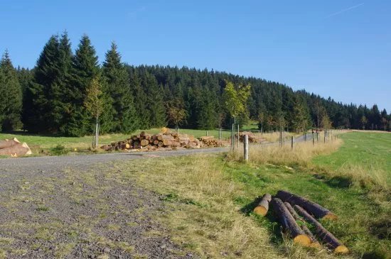 Baby Jesus Trail (Jeziskova Cesta)