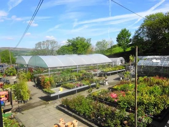 Park Farm Shop and Tea Rooms