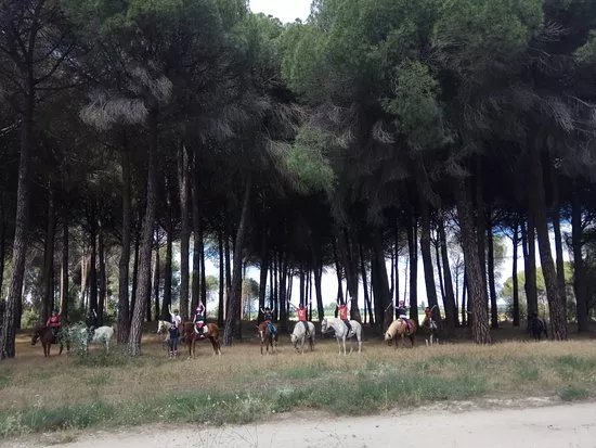 Centro Ecuestre Tordesillas