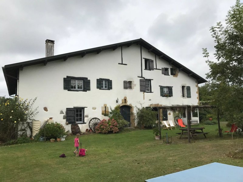 Bereterraenea