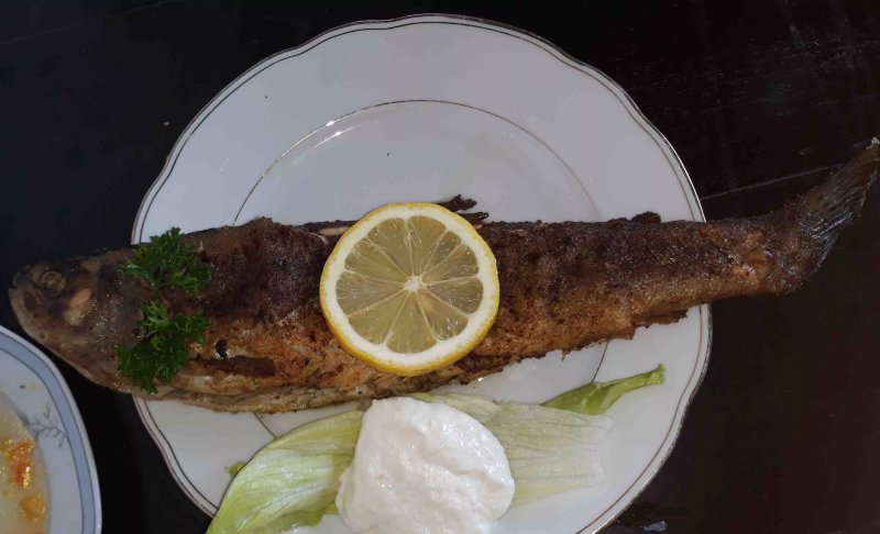 Fischzucht Cafe Forellenhof