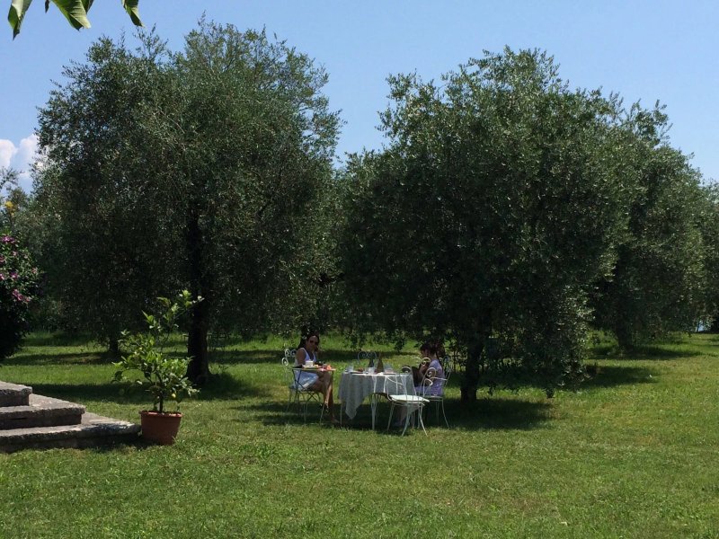 Agriturismo Punta del Corno