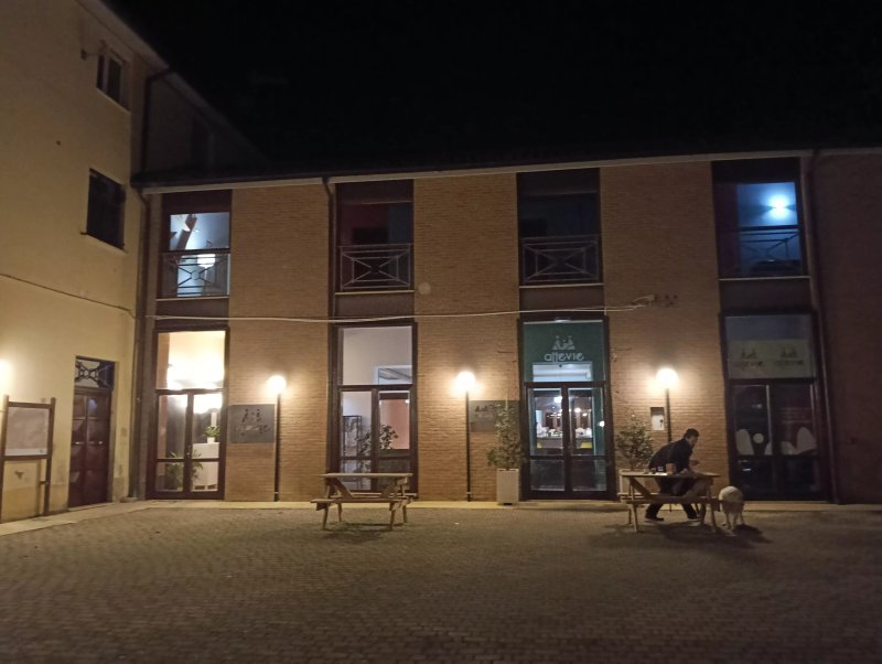Hotel Altevie