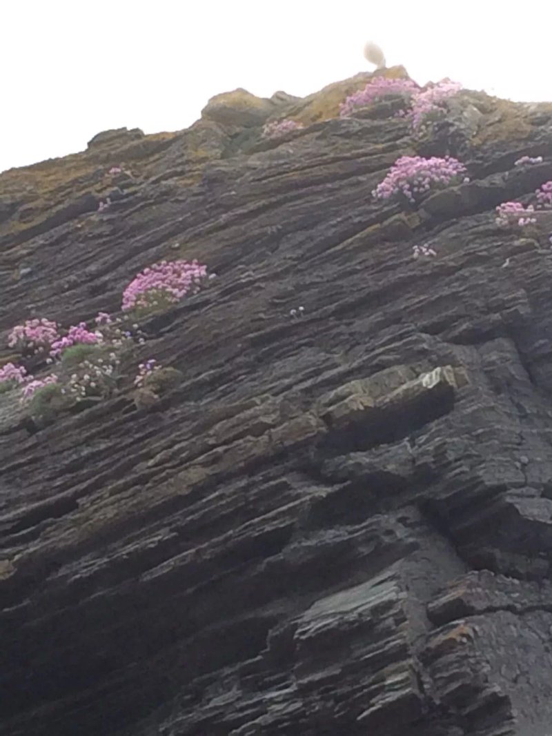 Angorfa Bed and Breakfast Llangrannog