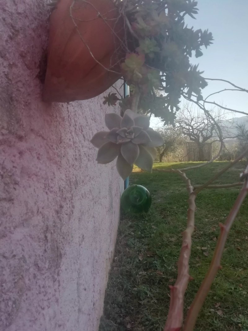 La Casa Della Nonna
