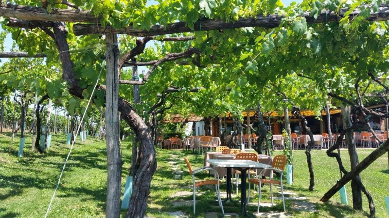 Agriturismo Crichelon