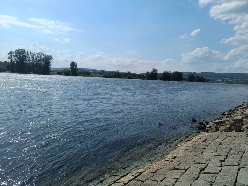 Biergarten am Deich