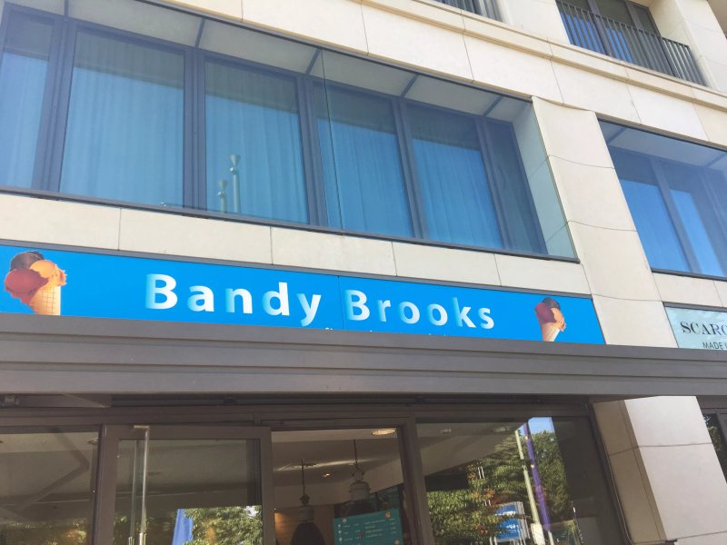 Bandy Brooks