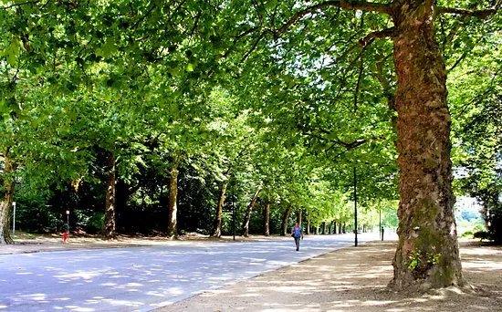 Promenade verte de Bruxelles