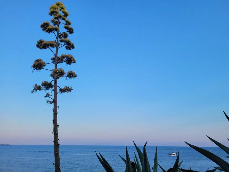 Sun Bay Le Castella