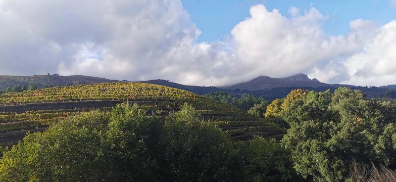 Quinta da Portelada