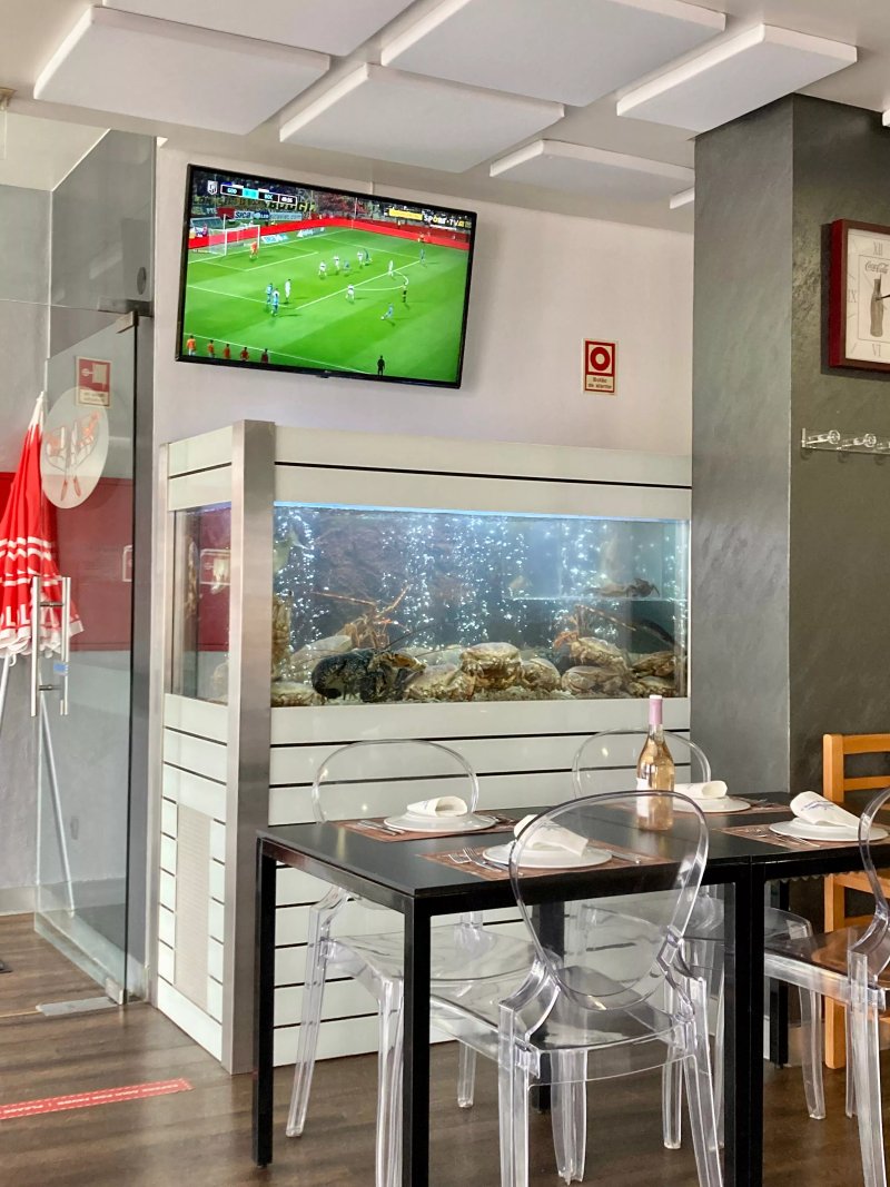 O Retiro Do Camarao