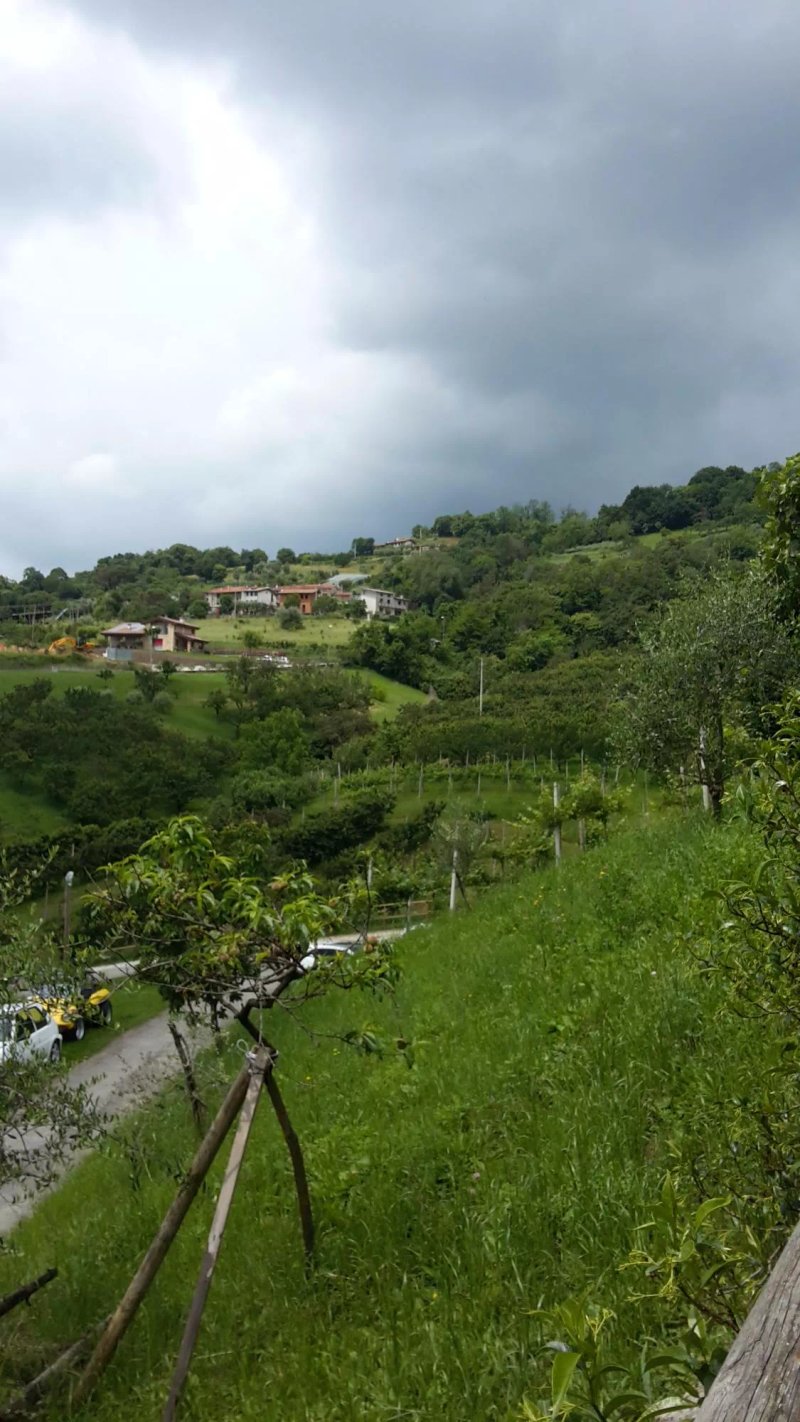 Agriturismo dai Sandri