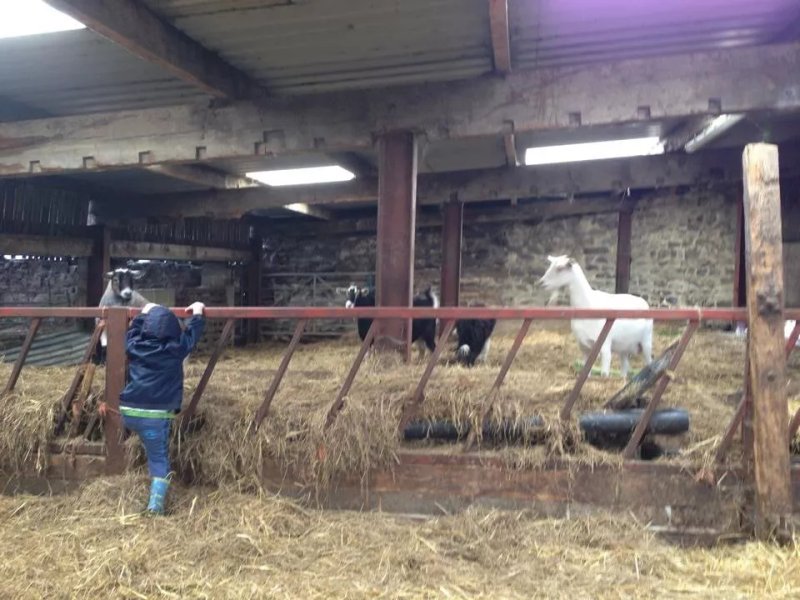 Currer Laithe Farm