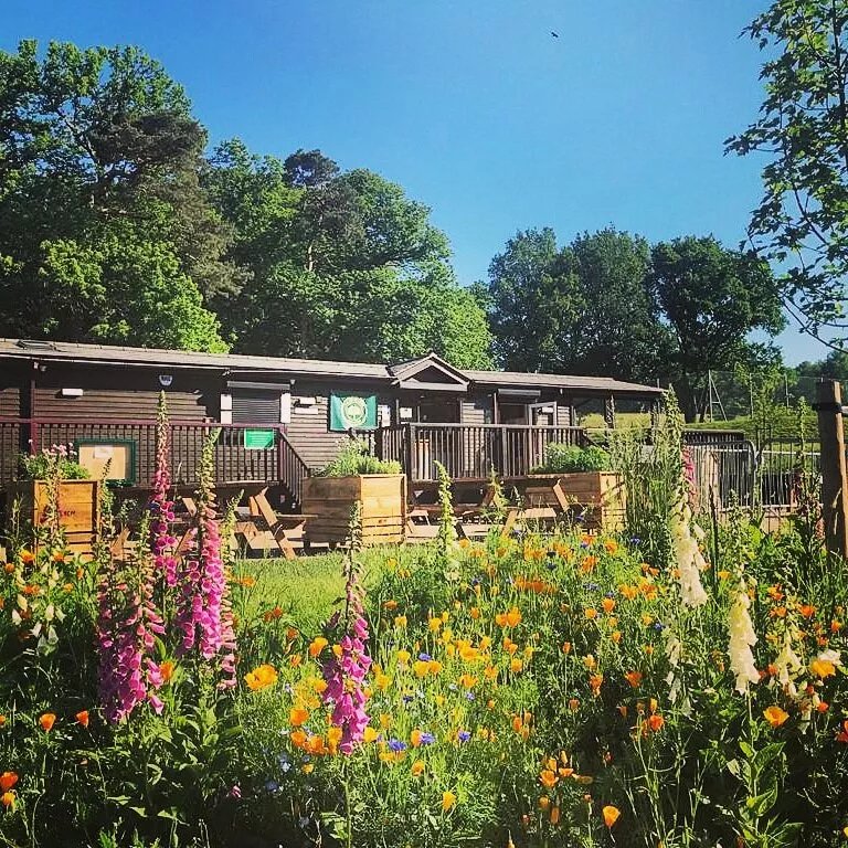 The Coffee Lodge