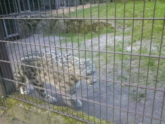 Wildpark Luneburger Heide