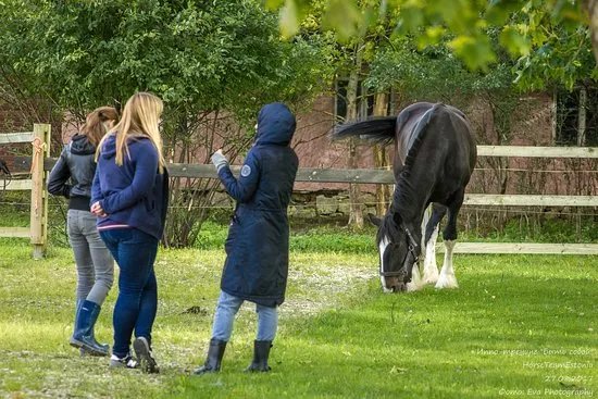 Horse Team Estonia