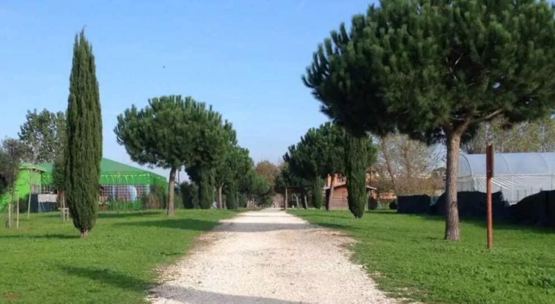 Parco della Madonnetta