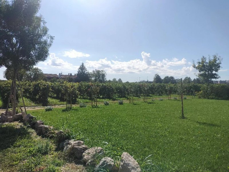 Agriturismo Ponte Florio