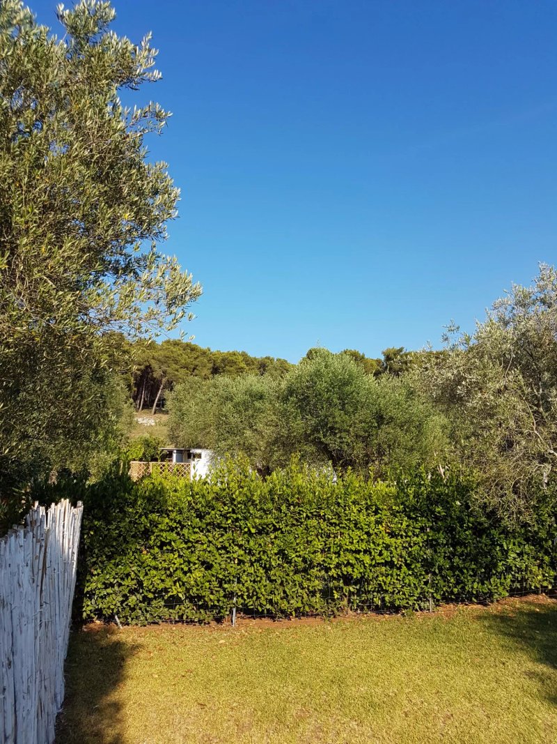 Agriturismo Massaro Pietro