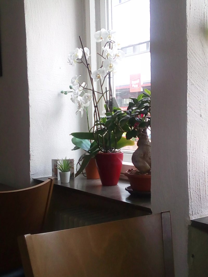 China Wok Thai-China-Imbiss