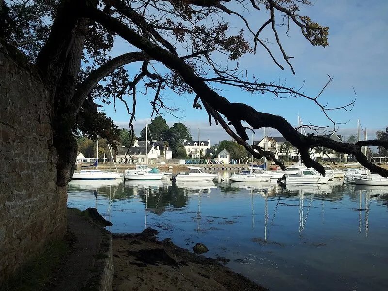 Appartment 65m2 with patio located at 100m of Vannes' port and historical center