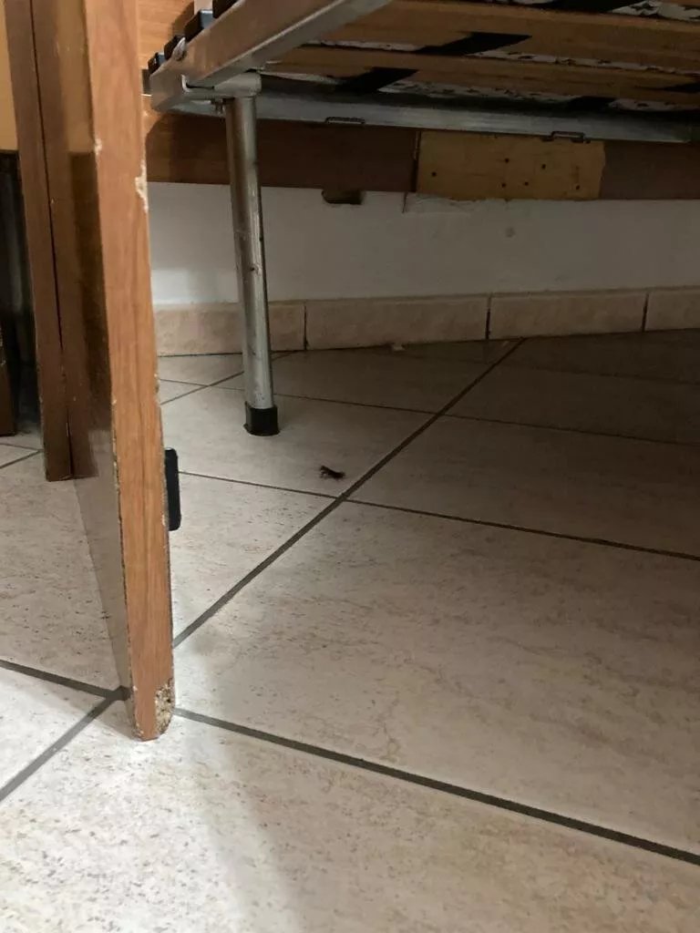 Cannone D'oro Albergo