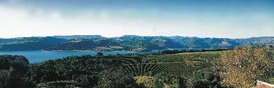 Barberani Wine