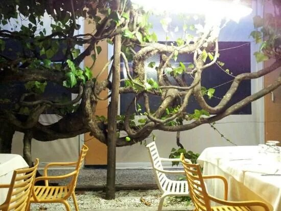 Ristorante Perbacco de Hotel Lavagnese
