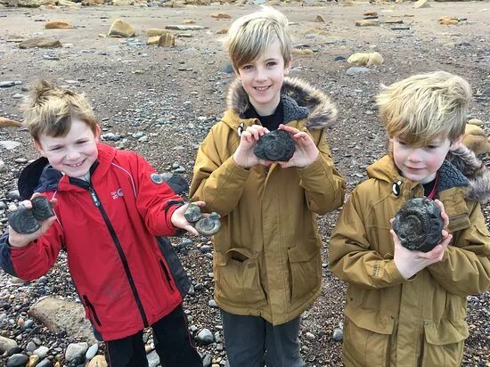 Whitby Fossil Hunting Tours