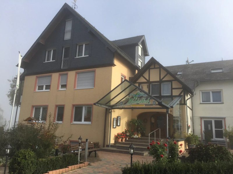 Waldesblick