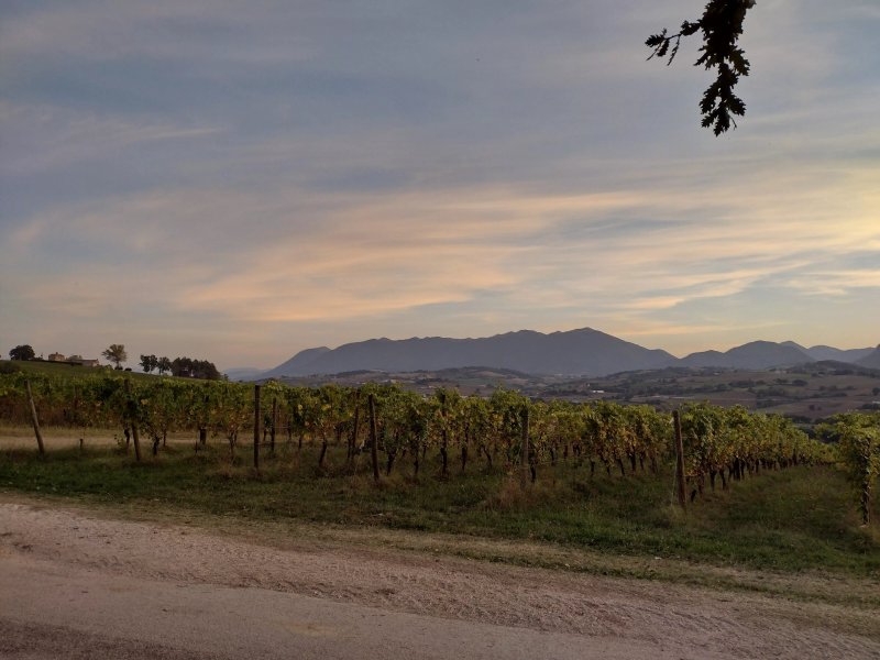 Ristorante Country House Salomone